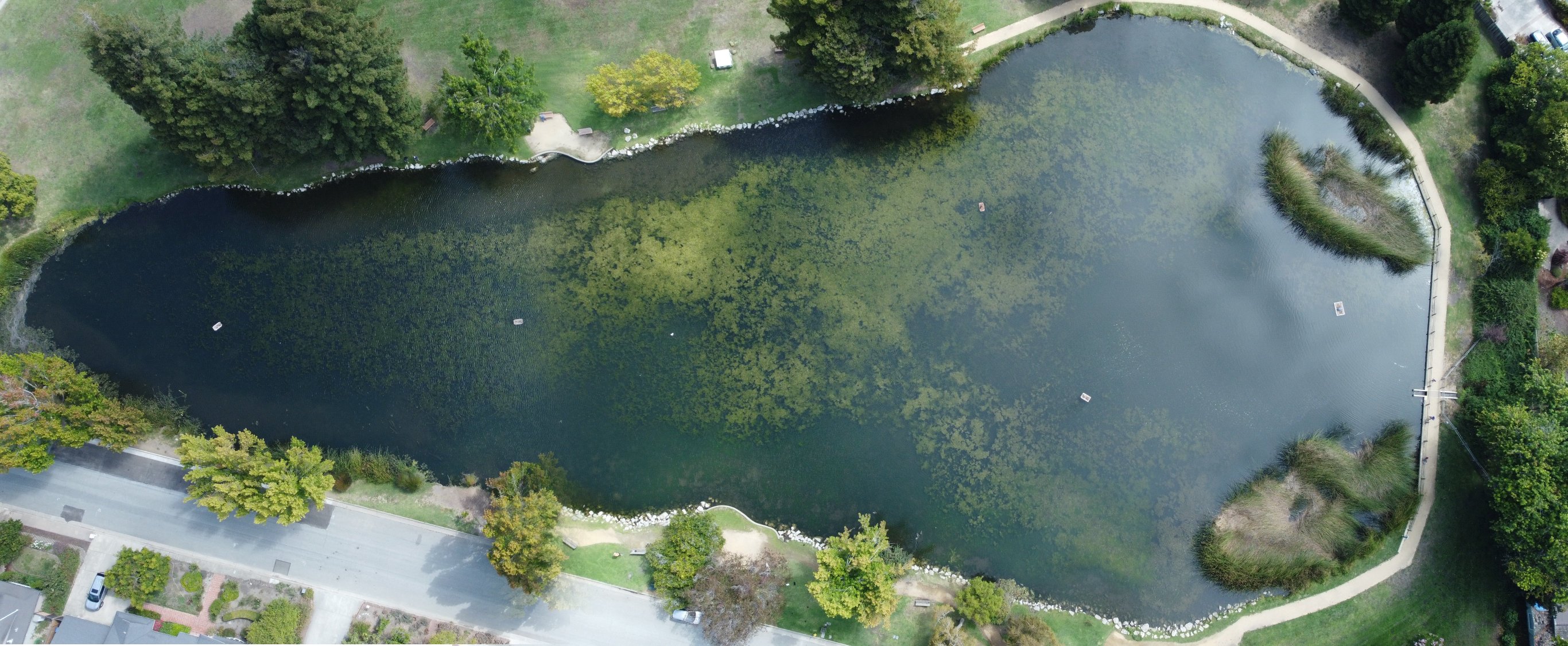 Pond Map